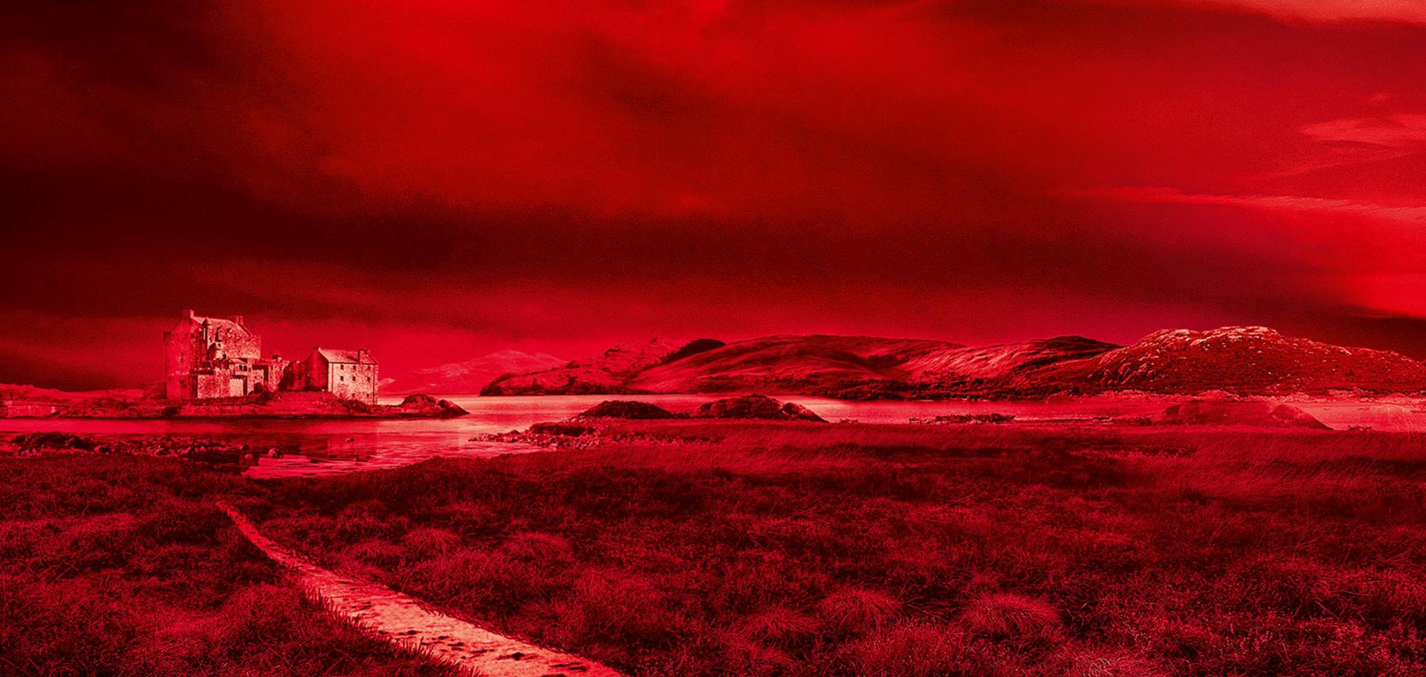 25749Les arômes du whisky