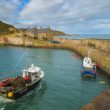 Cove Harbour, le joyau caché