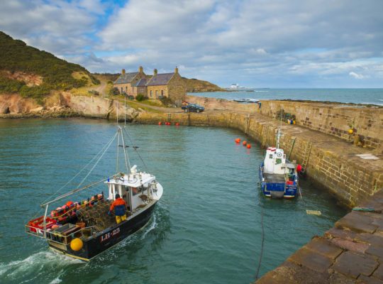 Cove Harbour, le joyau caché