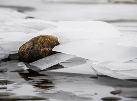 Les glaçons du Loch Morlich