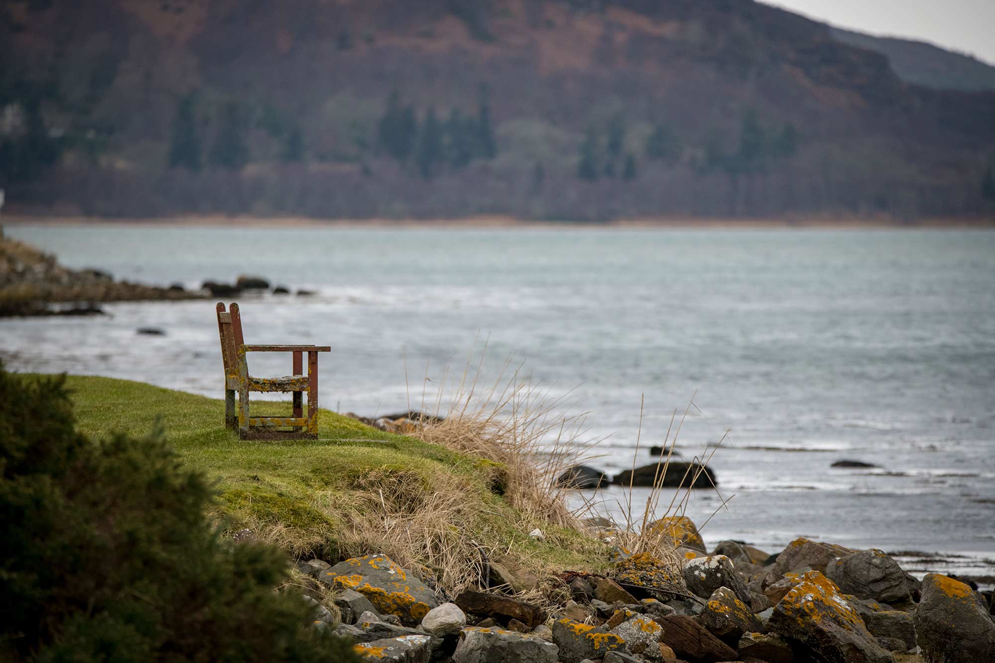 En attendant les phoques du Loch Fleet