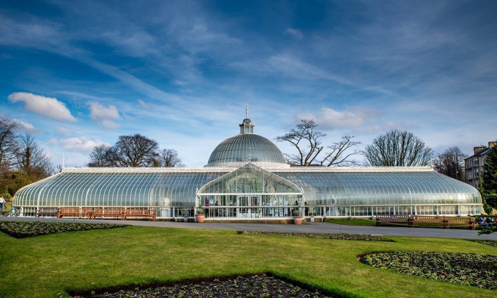 Jardin Botanique Glasgow Ecosse roadtrip Siredwards