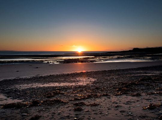 Sandhead, Morning Glory!