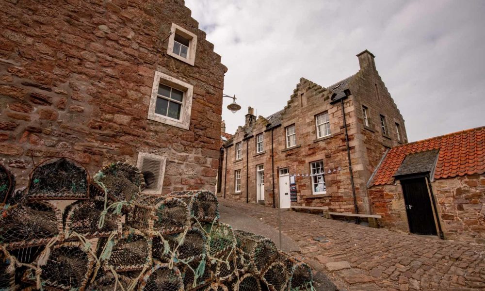 Un homard sur le port de Crail