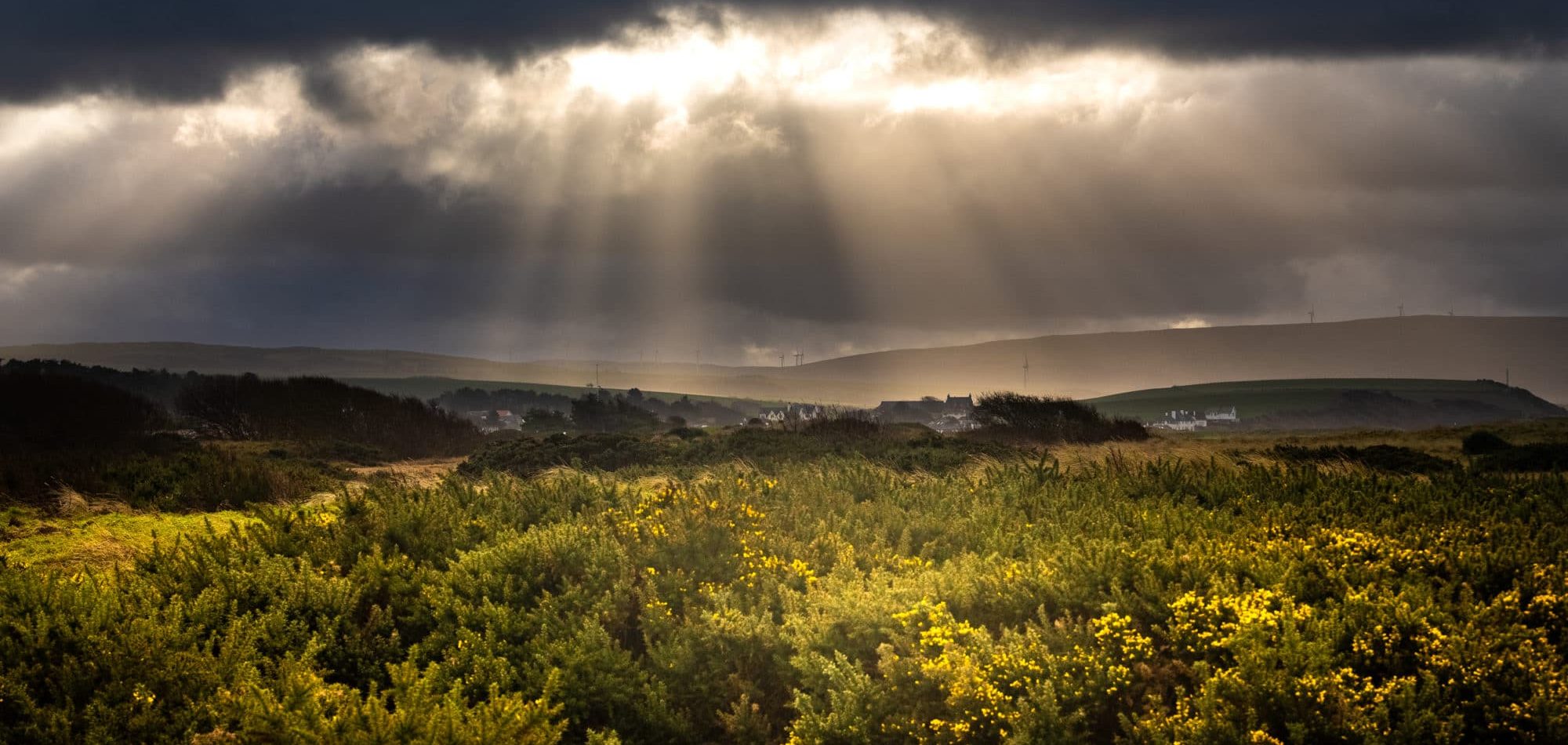 Soleil sur la lande écossaise