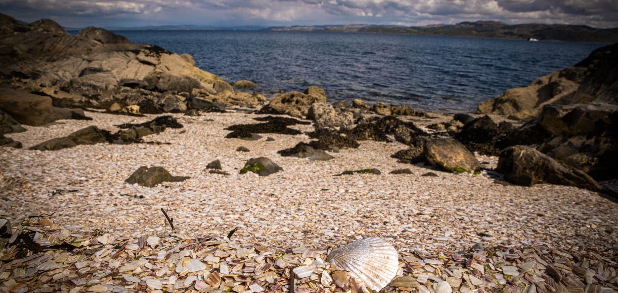 Tarbert, la plage aux coquillages