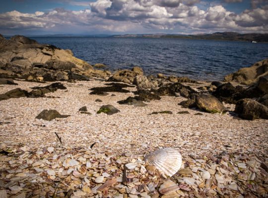 Tarbert, la plage aux coquillages