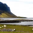 Sur les bords du loch Na Keal