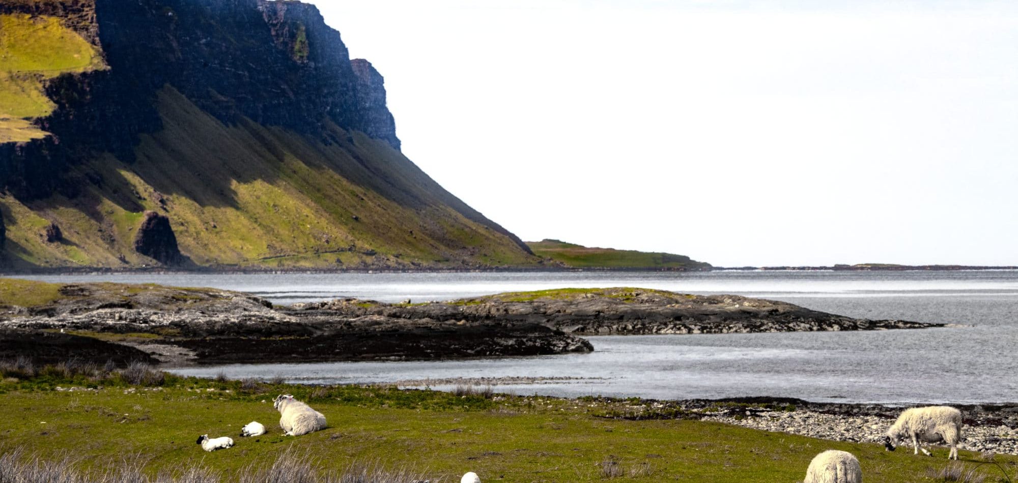 Sur les bords du loch Na Keal