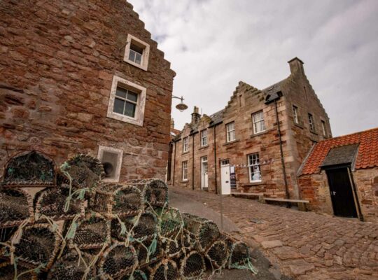 A lobster on the port of Crail