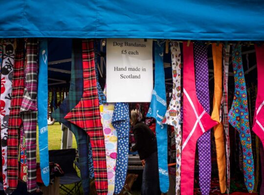 Un souvenir d’Écosse ? Un bandana pour chien !