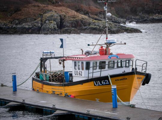 A yellow dot that catches the eye