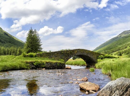 Water, the mark of Scotch whisky