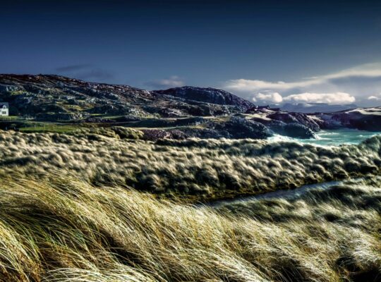 Clashtoll Beach, take your binoculars!