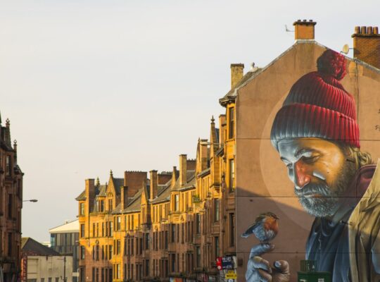 A robin on the finger